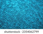 Organic texture of the hard brain coral. Abstract blue textured  background.