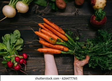 Organic vegetables. Farmer's hand holding harvested carrots on the dark wooden background, top view. - Powered by Shutterstock