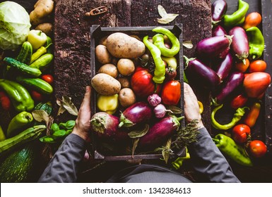 Organic vegetables. Farmers hands with freshly harvested vegetables. Fresh organic zucchini. Overhead shop - Shutterstock ID 1342384613