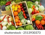 Organic vegetables. Healthy products from farmers market. Boxes with delicious fresh vegetables. Healthy food for diet. Various vegetables in baskets. Products from organic section of supermarket