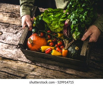 Organic vegetables on wood. Farmer holding harvested vegetables. Rustic setting - Powered by Shutterstock