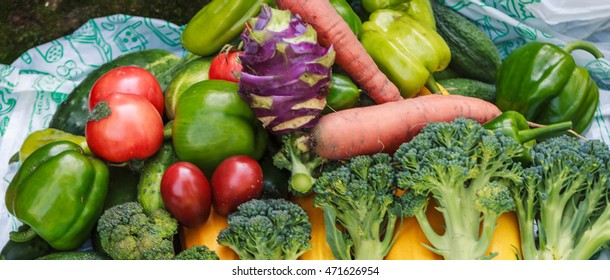 Organic vegetables. The reaped crop. Fresh bio vegetables. - Shutterstock ID 471626954
