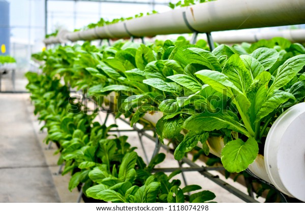 organic vertical
farming