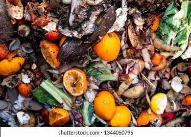 Organic Waste And Compost