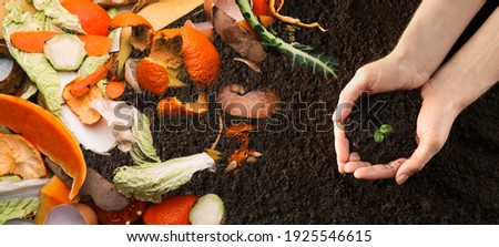 Organic waste for composting on soil and woman holding green seedling, top view. Natural fertilizer 