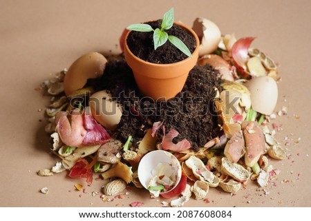 Organic waste, heap of bio compost with decomposed organic matter and plant seedling in a flower pot on top , closeup, zero waste, eco friendly, waste recycling concept