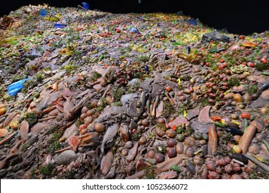 Organic wasted food junk mountain for rubbish dump selective focus
 - Shutterstock ID 1052366072