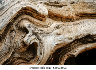 Organic Wood Texture Stock Photo 625038503 | Shutterstock