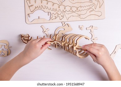 Organic wooden 3d dinosaur construction toy. The child collects a dinosaur constructor. Element for the design layout.
