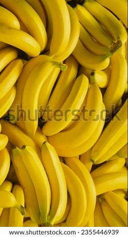 Organic yellow bananas, ripe and abundant. Freshness and nutrition in a full frame capture.