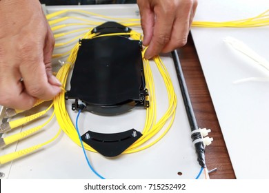 Organized in fiber optic cable placement. - Powered by Shutterstock