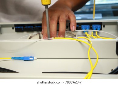 Organized In Fiber Optic Cable Placement.