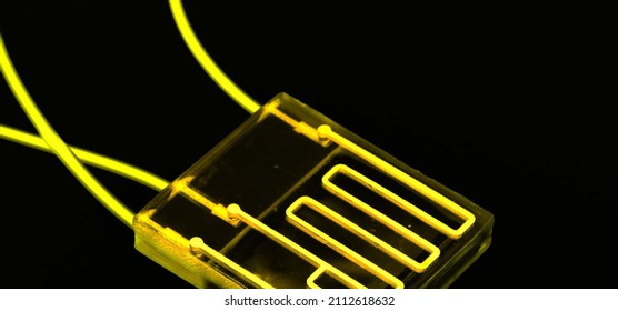 Organ-on-a-chip (OOC) - microfluidic device chip that simulates biological organs that is type of artificial organ. Prototype of design lab-on-a-chip in microfluidic laboratory - Shutterstock ID 2112618632