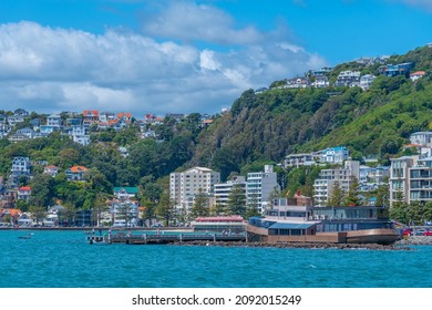 Oriental Bay Beach In Wellington, New Zealand