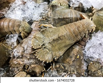 Oriental Flathead Lobster On Ice At Market