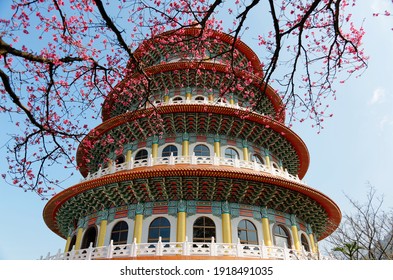 An oriental pagoda towering in Tien-Yuan Temple, a tourist destination and  an IG check-in place in Tamsui, New Taipei City, Taiwan, with pink cherry blossom trees (sakura) blooming under blue sky