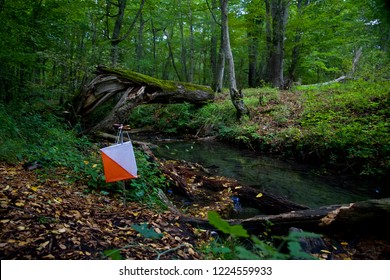 Orienteering in autumn forest and check point - Shutterstock ID 1224559933
