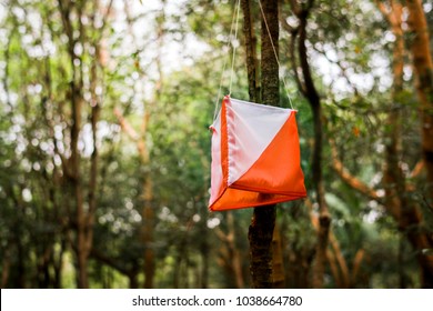 Orienteering box outdoor in a forest - Shutterstock ID 1038664780