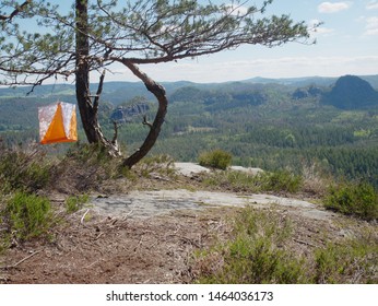 Orienteering Competitions In Wooded Areas. Orienteering White Orange Flag Hidden In Forest Within Local Run.