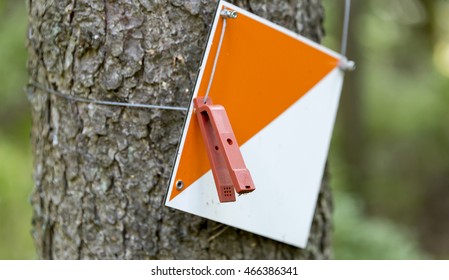 Orienteering Control Point