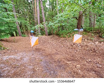 Orienteering Control Point In A Forest, Popular Sport Activities For Whole Family.