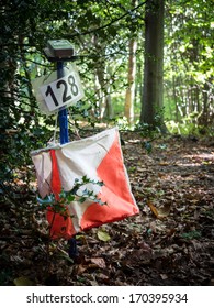 Orienteering Is A Family Of Sports Requiring Navigational Skills Using Map And Compass To Navigate From Point To Point In Diverse And Usually Unfamiliar Terrain, Usually As A Race