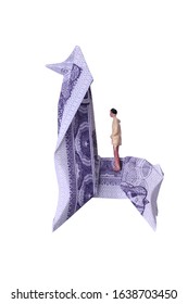 Origami: Alpaca, Origami With Money