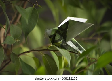 Origami Bird From Banknotes