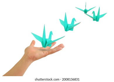 Origami bird flying from people hands isolated on white background. Freedom concept