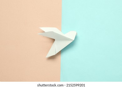 Origami dove on a blue-yellow pastel background. Top view