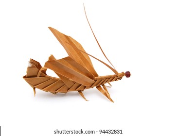 Origami Grasshopper Images Stock Photos Vectors