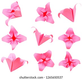 1000 Weiße Blumen Stock Images Photos Vectors Shutterstock