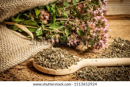 Origanum vulgare (oregano) herb - spice on a table