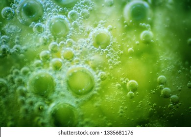 The origin of life on Earth. Abstract variation on theme of life originated in water 3.8 billion years ago. Abiogenesis. Coacervates (spontaneous generation, molecular compound in primordial soup)