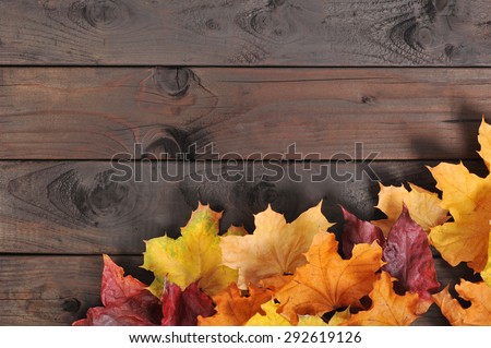 original autumn foliage in different colors on wooden floor
