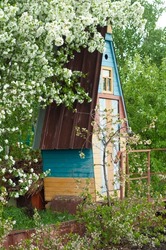 The Original Colorful Wooden Garden Toilet In The Village, On The Site Against The Backdrop Of Tall Tall Green Leafy Trees. Garden Exterior. Russian Outdoor Toilet.