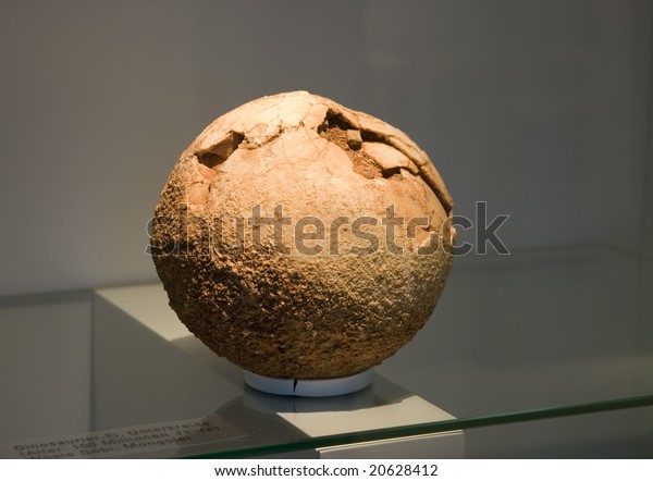 original dinosaur egg