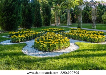 Original flower bed with yellow flowers inside. Landscape park of resort city of Gelendzhik. White stone paths are laid around flower beds. Flowerbeds in center of grassy lawn. Atmosphere of rest.