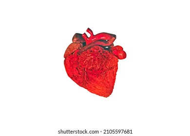 Original Human Heart Isolated On White Stock Photo 2105597681 ...