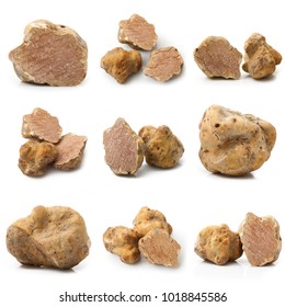 original italian white truffles collage on white background