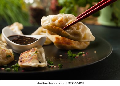 Original Japanese dumplings Gyoza with chicken and vegetables. Front view. Dark blue backgrund. - Powered by Shutterstock