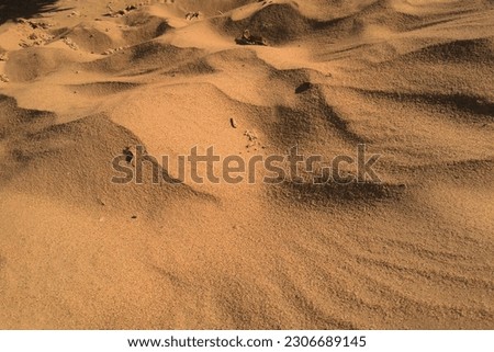 Original nature lines and textured contures of micro-dunes on the sand
