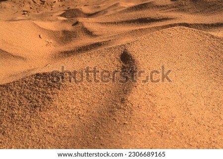 Original nature lines and textured contures of micro-dunes on the sand
