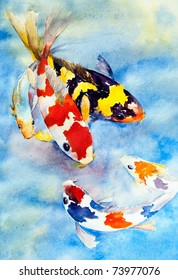 original watercolor painting of colorful koi in water