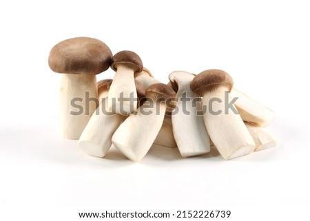 Oringi mushroom or King trumpet mushroom or Royal oyster mushroom or Eringi mushroom, on a white background. 