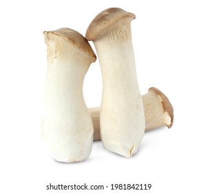 664 Orinji mushroom Images, Stock Photos & Vectors | Shutterstock