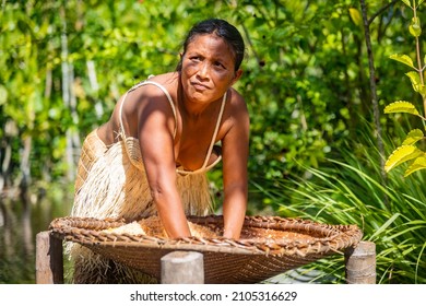 Orinoco, Venezuela - 11-23-2021: Native Tribal Orinoco Woman Harvesting Food From Palm Tree Close Up