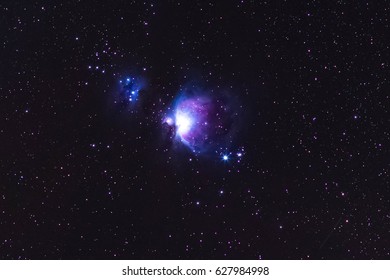 Orion Nebula