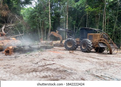 Oriximina/Para/Brazil - Oct 15, 2020: A Caterpillar Skidder carrying logs extracted from a forest in the Brazilian Amazon region, in an area of legalized sustainable logging.