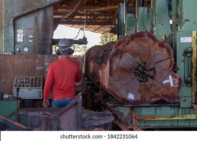 Oriximina/Para/Brazil - Oct 25, 2020: Worker Operating A Bandsaw To Cut A Large Tree Trunk, Extracted From The Brazilian Amazon Rainforest.